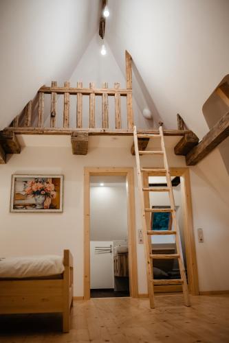 a bedroom with a loft bed and a ladder at Casa de Vacanta Colibita Veche- pe malul lacului in Colibiţa