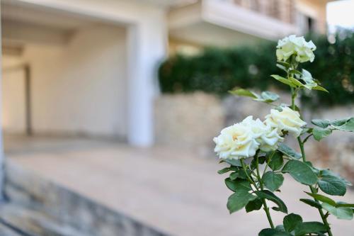 Photo de la galerie de l'établissement Μικρό διαμέρισμα της Αγγελικής με αυλή και parking, à Kalamata