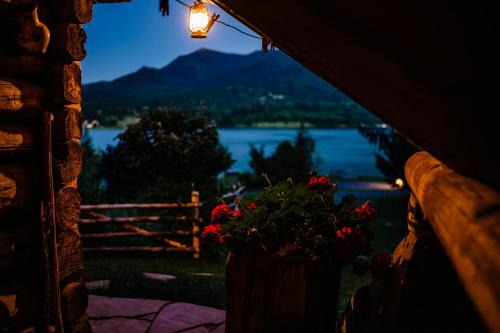 a view of a lake from a window with flowers at Casa de Vacanta Colibita Veche- pe malul lacului in Colibiţa