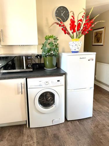 a kitchen with a washer and dryer with flowers at Luxurious two-bedroom apartment in the centre of Peterborough in Peterborough
