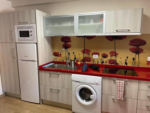 a kitchen with a sink and a washing machine at Apartamento Acogedor y Céntrico - Plaza del Charco in Puerto de la Cruz