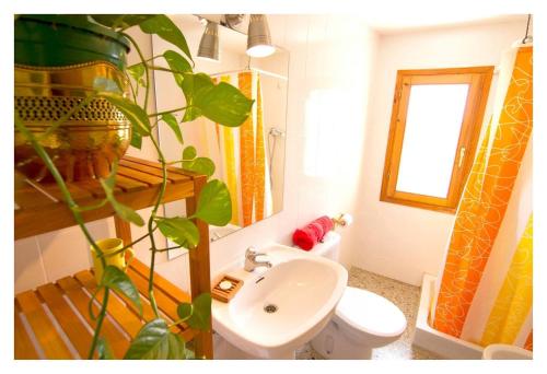 baño con lavabo, aseo y planta en Casa Guaranatura alojamiento y barrancos, en Bierge