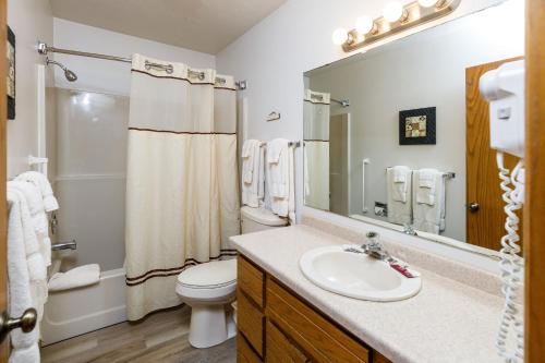 a bathroom with a sink and a toilet and a mirror at The Inn at Little Sister Hill in Sister Bay