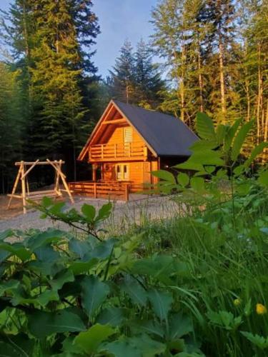 Domek Polana Przyborów