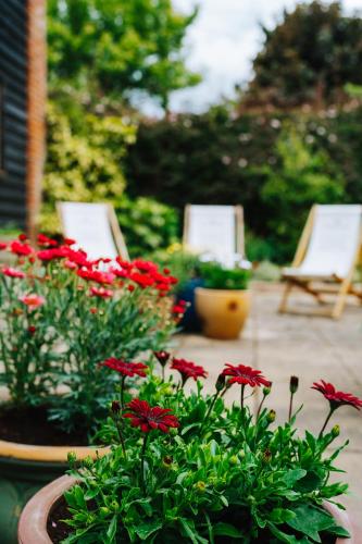 two lawn chairs and red flowers on a patio at The Bull Inn in Woolpit