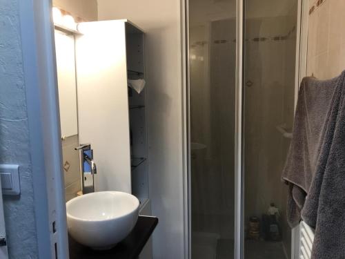 une salle de bain avec un lavabo et une douche dans l'établissement Appartement idéalement placé sur le port, à La Turballe