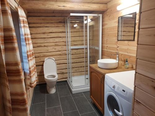 a bathroom with a toilet and a sink and a washing machine at Villmarksgård camping in Hattfjelldal