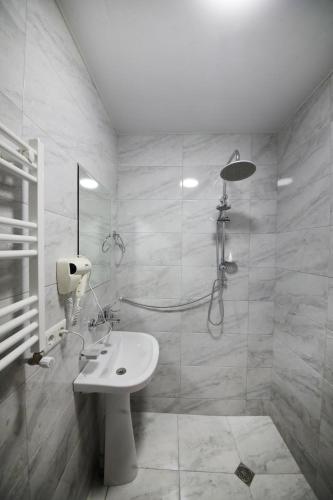 a bathroom with a shower and a sink at Bessarion Boutique Hotel in Kutaisi