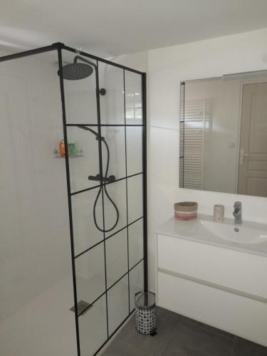 une salle de bain avec douche et lavabo dans l'établissement Maison neuve au calme, à Pleumeur-Bodou