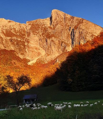 Foto dalla galleria di Hiša Planica a Kobarid