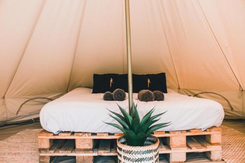 a bed in a tent with a plant on it at Glamping op boutique camping Whanau in Rutten