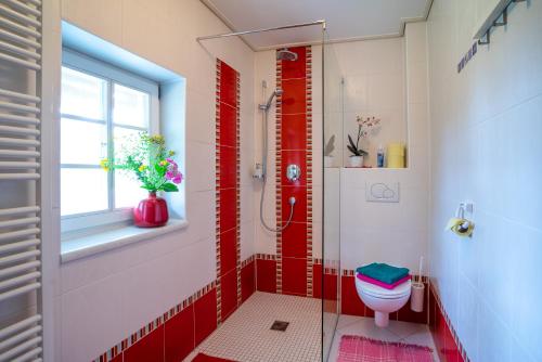 a bathroom with a toilet and a shower with red tiles at Ferienhaus Robier in Oberhaag