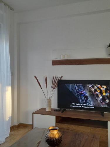 a living room with a flat screen tv on a table at Apartmani Sunlight in Vrnjačka Banja