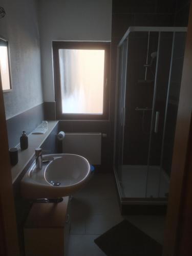 a bathroom with a sink and a shower and a window at FeWo Apfelbaum in Saarbrücken