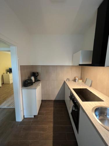 eine Küche mit einer Spüle und einer Arbeitsplatte in der Unterkunft New Renovated and near Centrum in Lübeck
