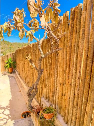 a wooden fence with a small tree next to it at Villa Candombá in Alto Paraíso de Goiás