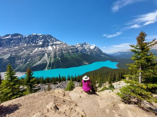 a person sitting on top of a mountain overlooking a lake at Green Village in Calgary