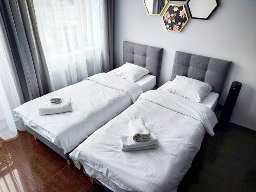 two beds sitting next to each other in a bedroom at Apartament PLANETA MIELNO - centrum, 2 minuty od plaży ! ! ! in Mielno