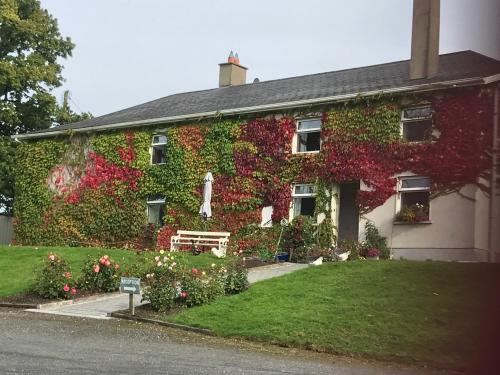 a house covered in ivy with a bench and flowers at Blackrath Farmhouse in Dún Luáin