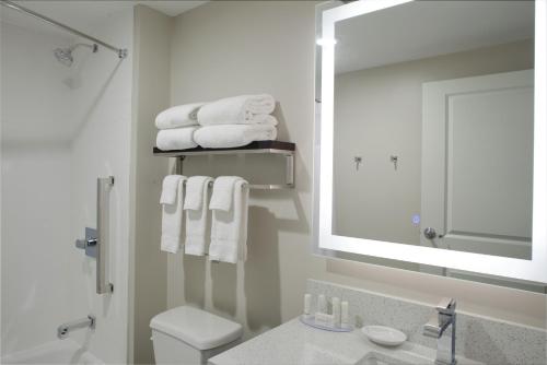 Kylpyhuone majoituspaikassa TownePlace Suites by MarriottDetroit Canton