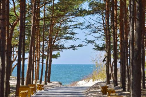 Galeriebild der Unterkunft BOHO BEACH STUDIO su terasa ir baseinu in Palanga