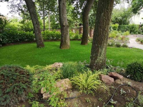 a group of trees in a yard with green grass at Villa Chez les Amis - Adults only in Balatonszepezd
