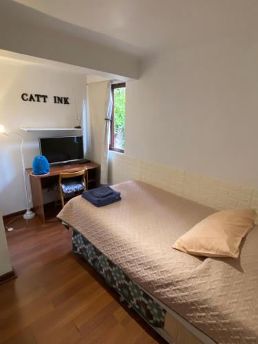 1 dormitorio con 1 cama, escritorio y TV en Nido de Condores, en Santiago