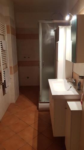 a bathroom with a shower and a sink at Relais Le Armonie Bed and Breakfast in Rome