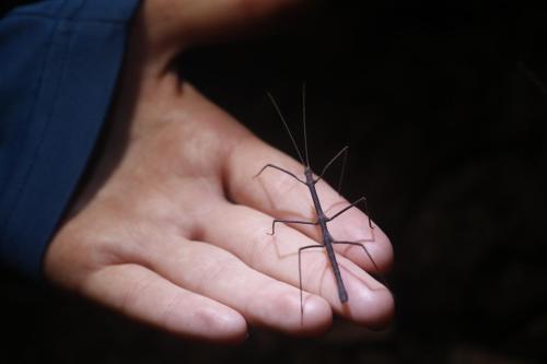 a person holding a needle in their hand at Andean Wings Sotupa Eco Lodge in Puerto Maldonado
