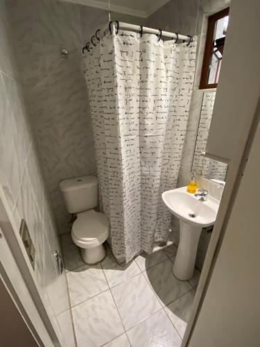 a bathroom with a toilet and a sink at Nido de Condores in Santiago