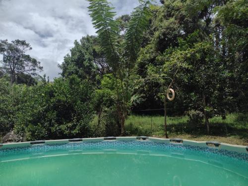 Gallery image of Villa Falian Nido Colibrí in Viotá