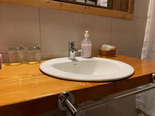 a bathroom sink with a soap bottle on a counter at LA CABAÑA FISHING LODGE in Puerto Ramírez