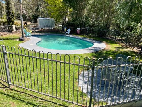 uma cerca em torno de uma piscina com um cão dentro em Fairway Views Motor Inn em Tocumwal