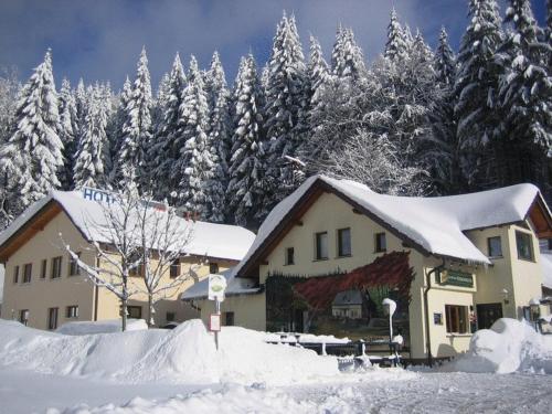 a house covered in snow in front of a forest at Hotel & Gasthaus Sterngrund in Zella-Mehlis