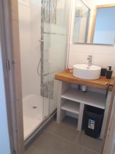een badkamer met een wastafel en een douche bij Maison individuelle draps et serviettes non inclus in Morcenx