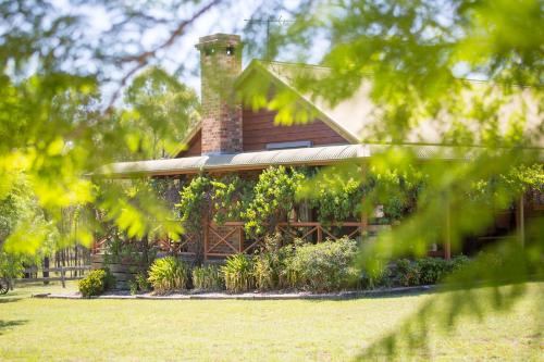 a house is seen through the leaves of trees at Silky Oak Cottage & Studio in Pokolbin