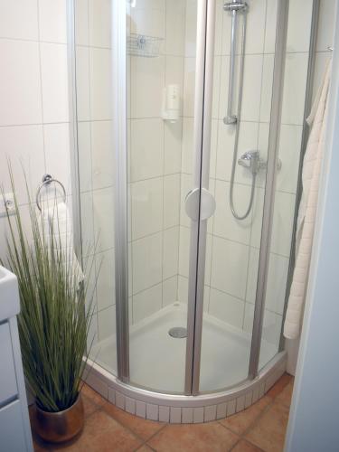 a shower with a glass door in a bathroom at Ferienwohnung in Seewalchen in Seewalchen