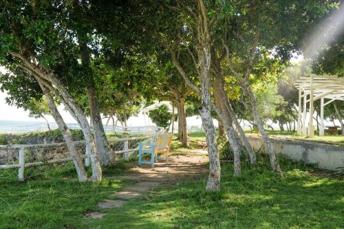 a blue chair sitting under trees next to a fence at Maayo San Remigio in San Remigio