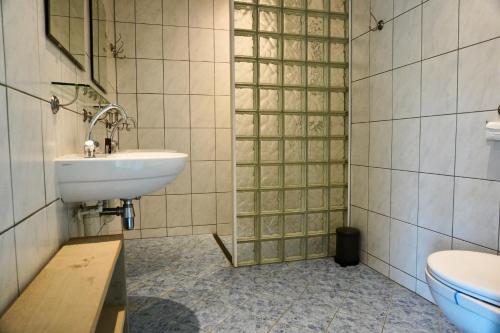 een badkamer met een wastafel en een toilet bij Vakantiewoningen Zandbooi in Westkapelle