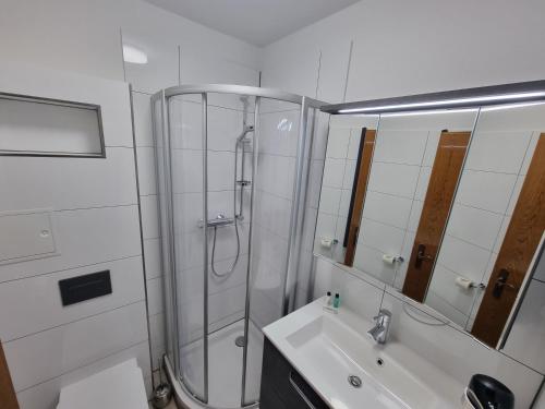 La salle de bains est pourvue d'une douche et d'un lavabo. dans l'établissement Bergschänke & Berghotel, à Bresinchen