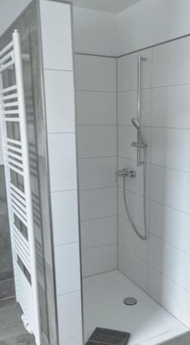 a shower with a glass door in a bathroom at Haus Sonnengruß in Salem