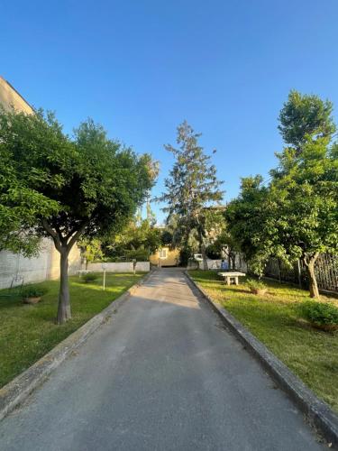 an empty street with trees on the sides of a road at L'Anfiteatro di Pompei B&B in Pompei