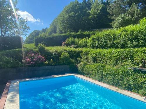 a swimming pool in a garden with a hedge at Chalet Kultique in Innerschwand am Mondsee