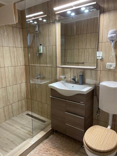 een badkamer met een douche, een wastafel en een toilet bij CASA PARASCHIVA in Orşova