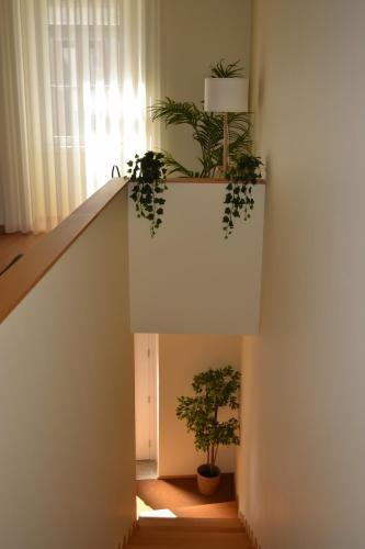 Glamour Guest House