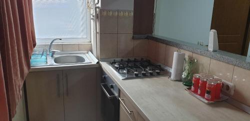 Kuchyň nebo kuchyňský kout v ubytování Apartament KEDA