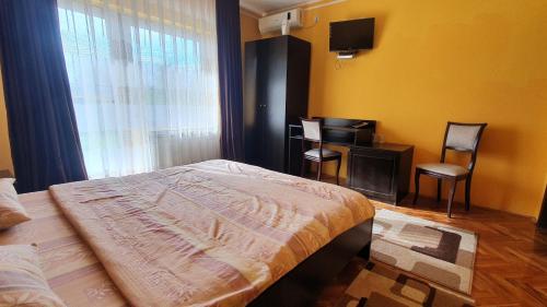 a bedroom with a bed and a tv and a window at Sobe villa 118 in Kragujevac