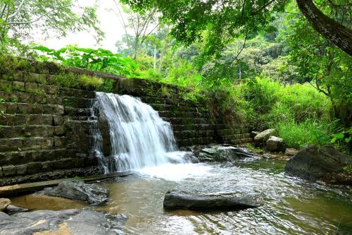 a waterfall over a stone wall in a creek at Giri Darshini Homestay - Simple Rooms with Pool & Private Falls in Chikmagalūr