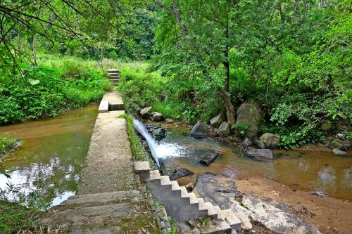 a stream of water with a bridge and trees at Giri Darshini Homestay - Simple Rooms with Pool & Private Falls in Chikmagalūr