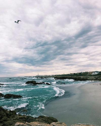 a plane flying over a beach with the ocean at Seester Accommodation in Lambertʼs Bay